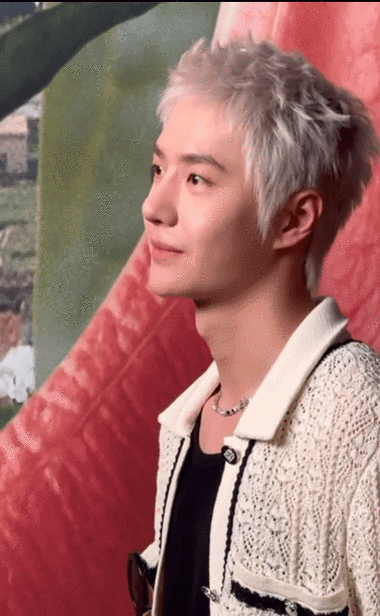 王一博染回黑发了