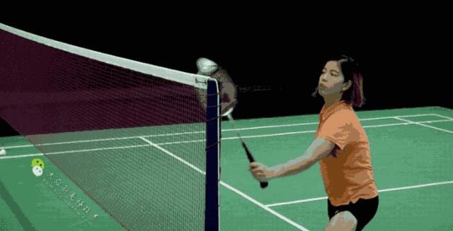 羽毛球网前进阶技术gif教学03正反手勾对角_网易订阅