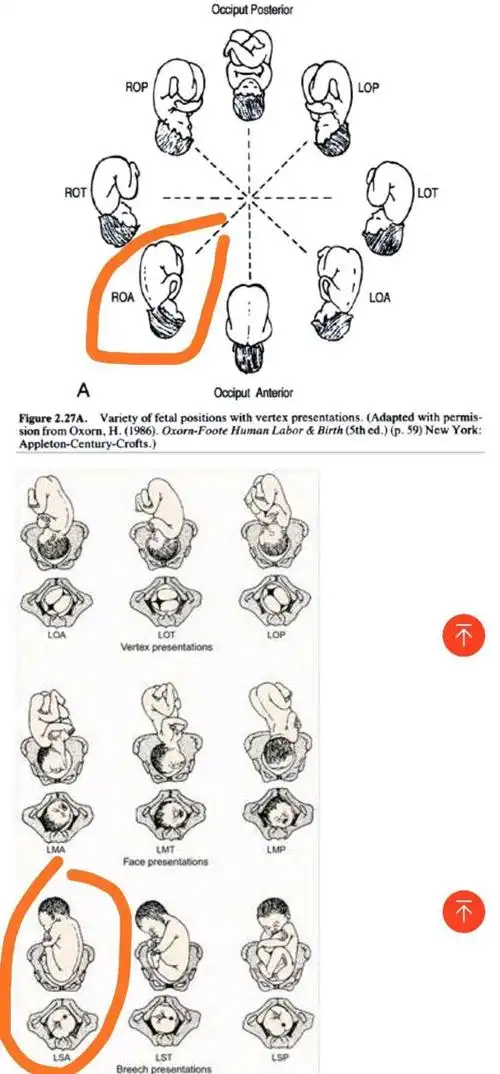 杜新枝拿孩子病历数据洗白自身,攻击许敏,疑点显示数