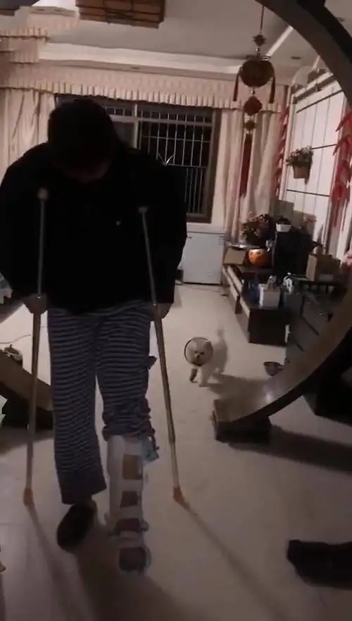 狗见到男主人瘸腿后有骨头吃,接下来的动作令人笑喷,网友:戏精