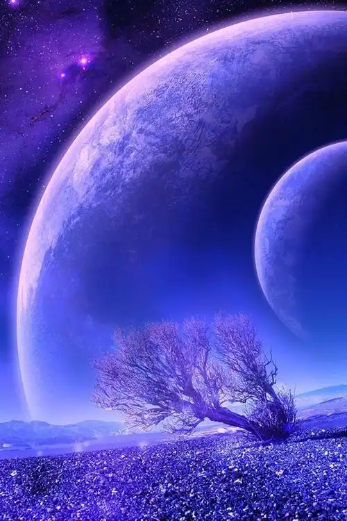 文案高级又浪漫