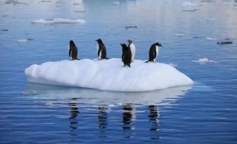 世界上最大的冰川在哪个洲(冰川是在北美洲,亚洲还是欧洲)_造梦网