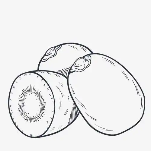 猕猴桃简笔画 猕猴桃简笔画图片