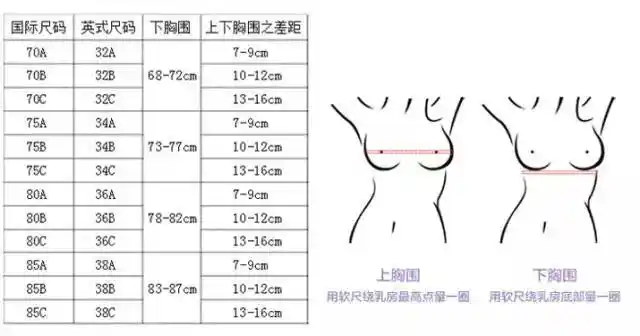 字母前面的数字代表着文胸下围的一个数值字母abcd代表的是我们内衣的
