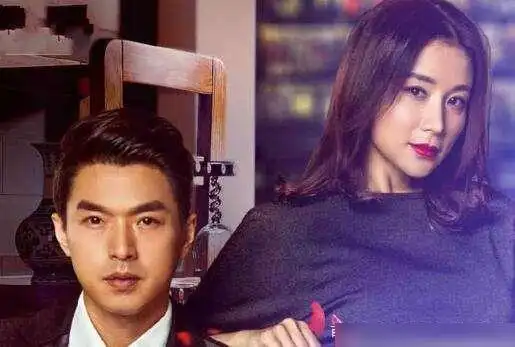 最新上架了一部家庭情感剧《好妻子》,由姚芊羽,台湾演员李威等人主演