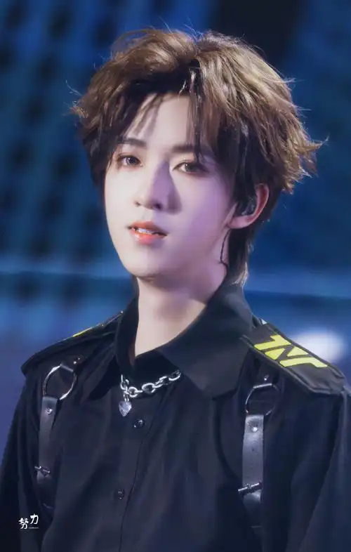 时代少年团演出观演须知##贺峻霖 二十弈梦鸿鹄万里##贺峻霖缘故