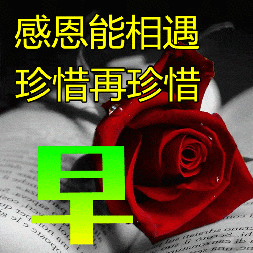 2月14日情人节早上好祝福语图片大全,问候动态表情图片大全!