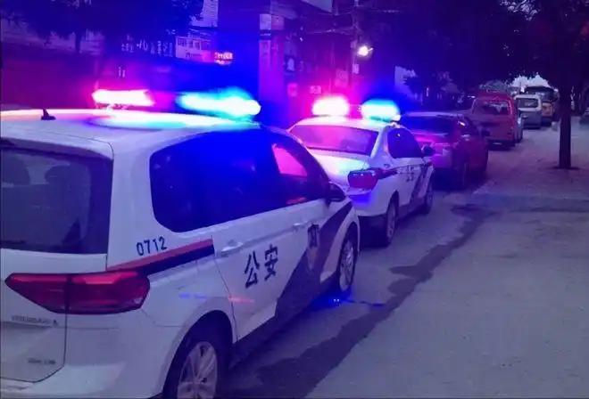 不过,那种穿着警服,开着警车,响着警报,警灯还闪亮个不停的抓捕犯人的