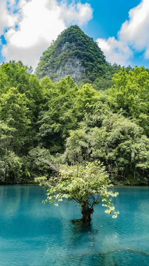 贵州黔东南 | 小七孔景区