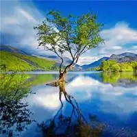 2021年景色头像_微信头像图片大全