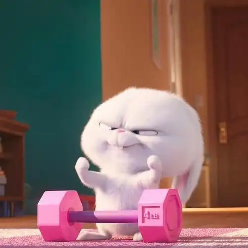 (已找到)爱宠大机密里面兔子的头像/表情