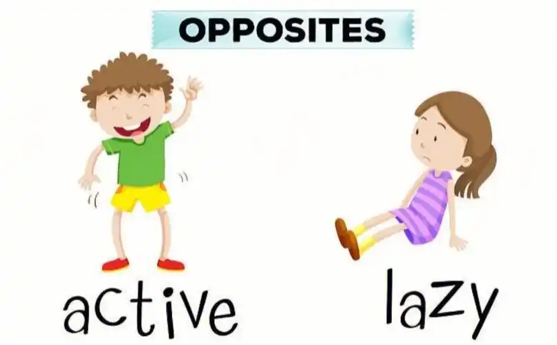 和神态表情区分清楚单词的意思,有需要的请92#英语启蒙  #反义词