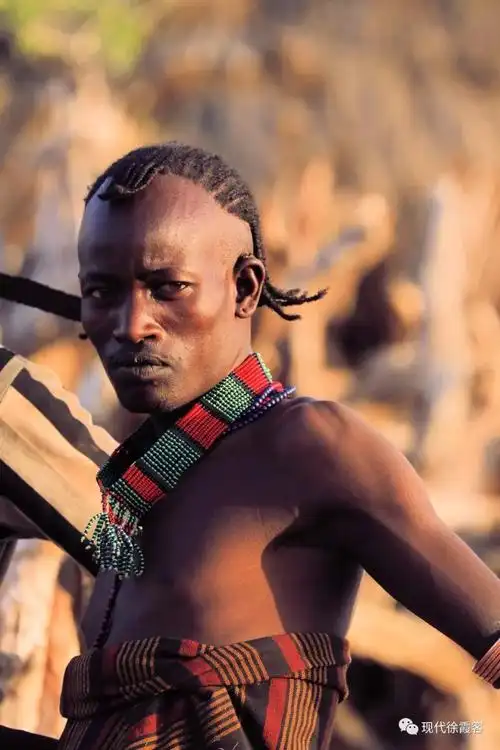 有着少年情怀的 哈马尔部落