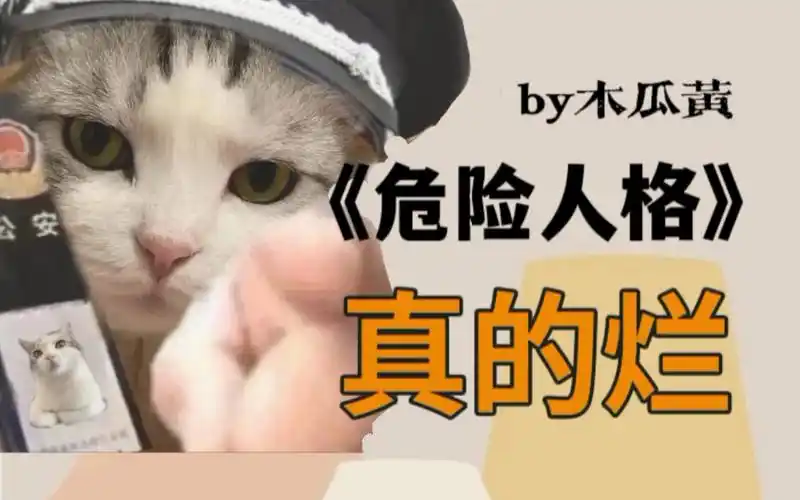 【吐槽】《危险人格》by木瓜黄 刑侦bug不断 剧情一崩三千里