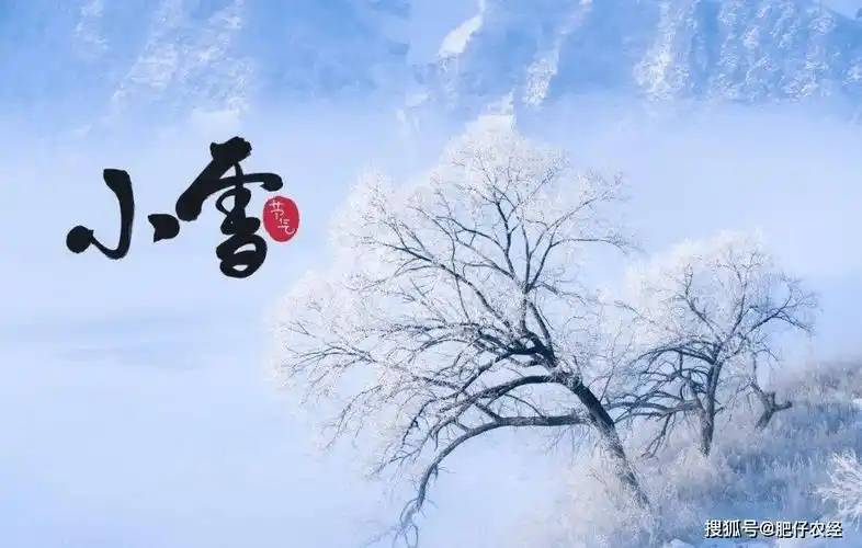 小雪天气变化有何预兆?看农谚怎么说?有没有道理?_节气_气候_作物