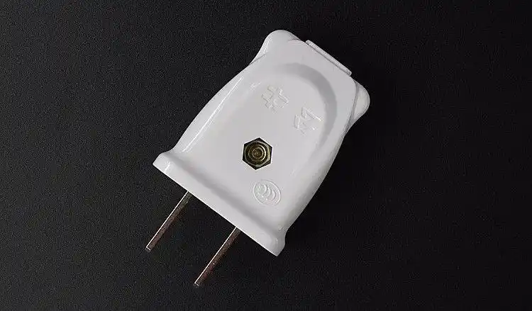 公牛二脚插头10a单相二极扁脚可拆组装安全2眼220伏电源插脚 1个