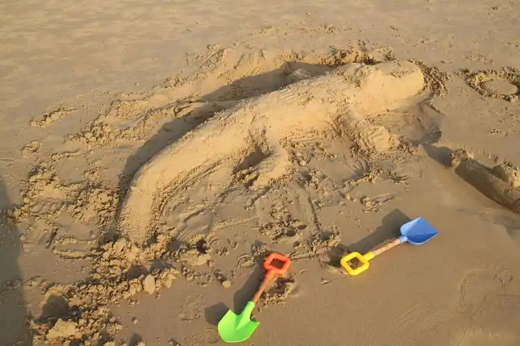 沙滩上堆出一条鱼