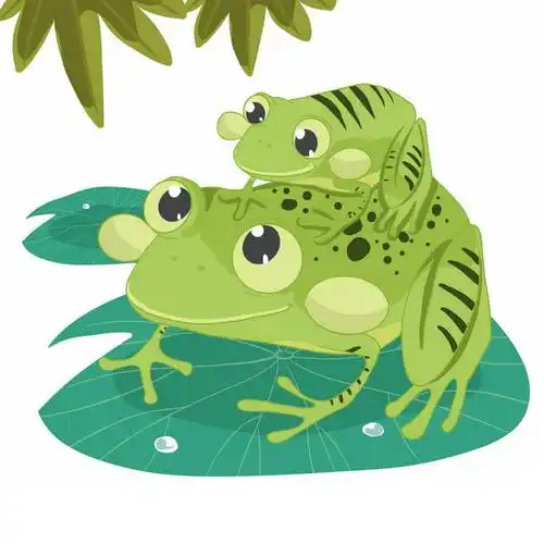 背着孩子的卡通青蛙妈妈负子蛙7408063免抠图片素材 - 设计盒子