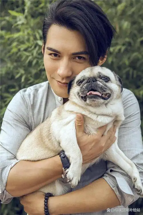 看狗都深情的4位男演员个个生了一双桃花眼天生自带苏感