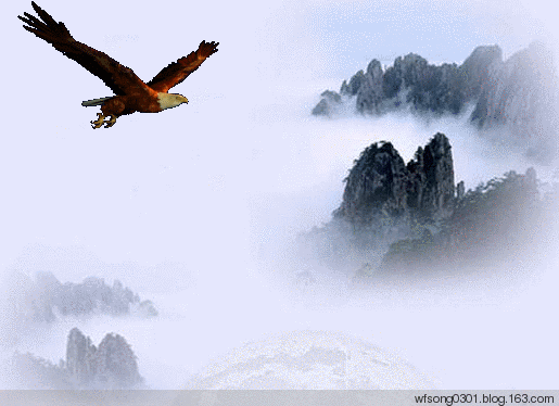 515_374gif 动态图 动图