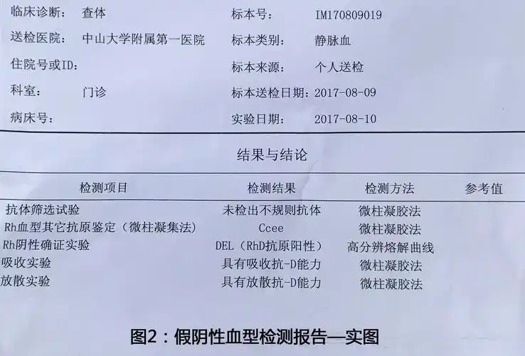 如果你是稀有血型熊猫血或阴性血