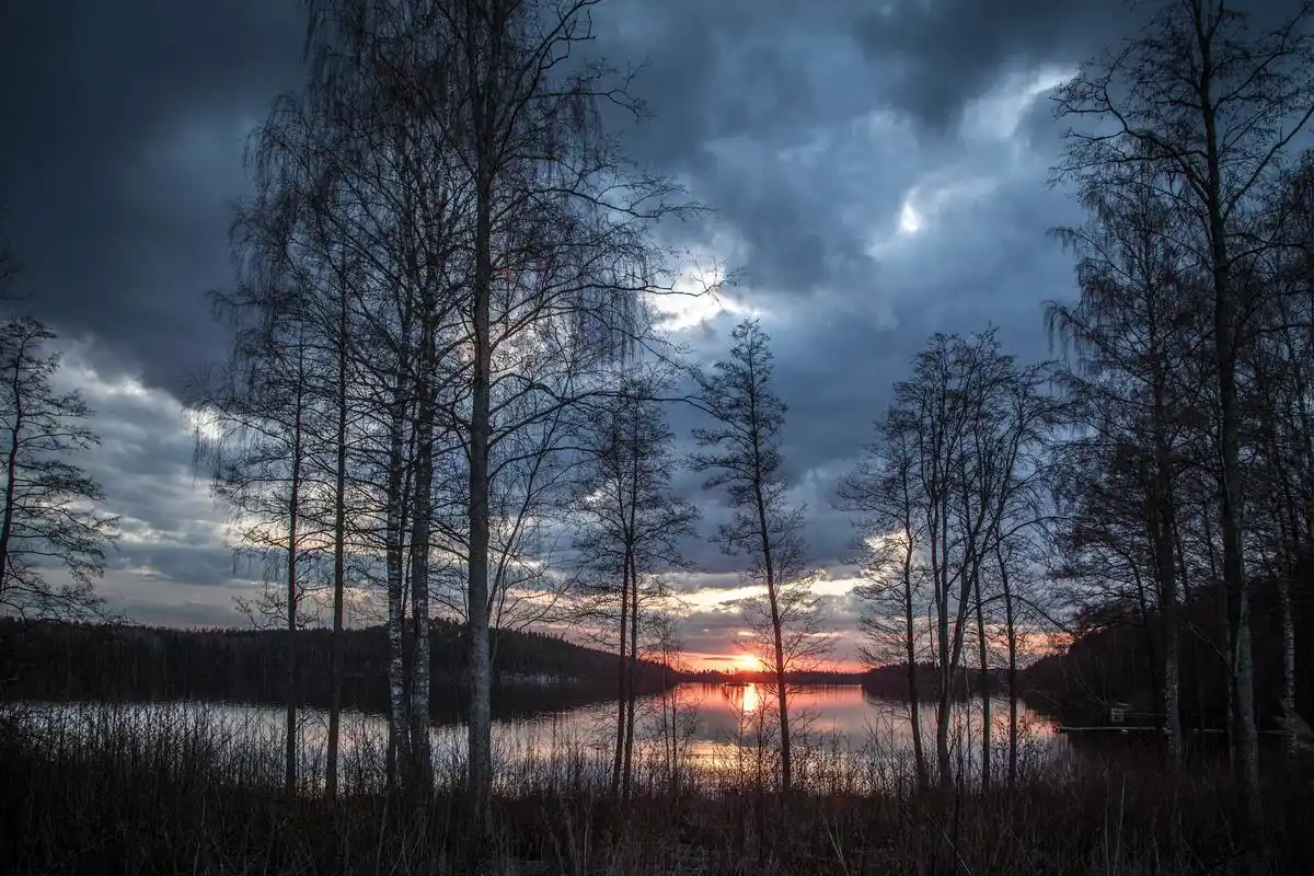 景观,风景 森林,水,自然,蓝色,橙色,黑暗的天空,情侣,大海,夜晚,夜景
