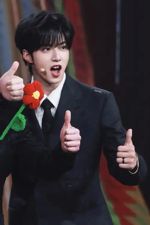 刘耀文 北京国际电影节##刘耀文手持小红花