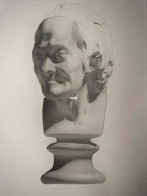 伏尔泰侧光素描练习