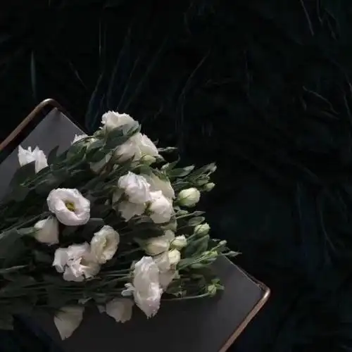 朋友圈背景图ins杂图鲜花