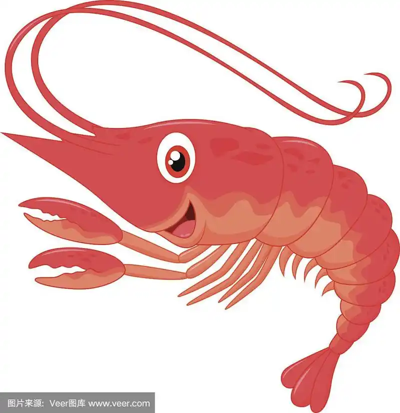 可爱的卡通虾