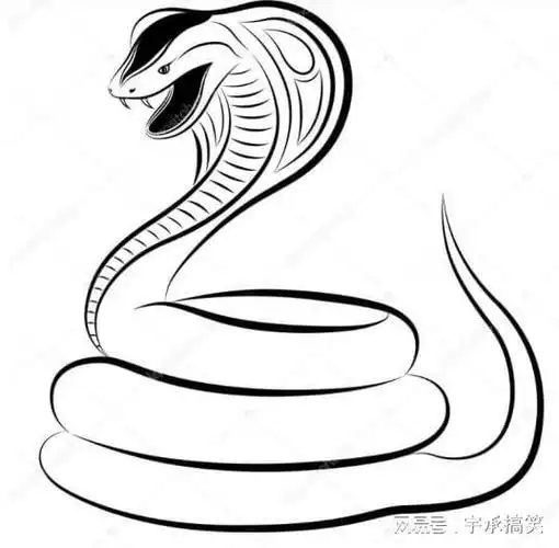 蛇类|蟒蛇|毒液|海伦|毒蛇|云南省|水生动物|国家二级保护动物_网易