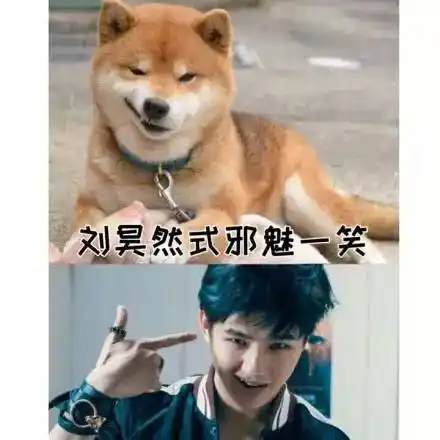 跟柴犬迷之神似的刘昊然↓↓↓刘青云的沉默猴子界的小沈阳杰伦小公举