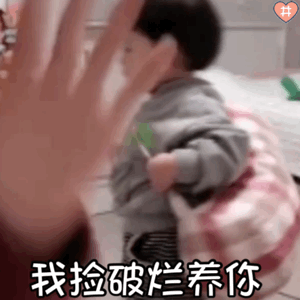 萌娃丸子妹表情包动图可爱丸子离家出走了我捡破烂养你~退出群聊