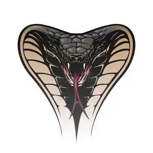 蛇头图片-蛇头素材-蛇头插画-摄图新视界