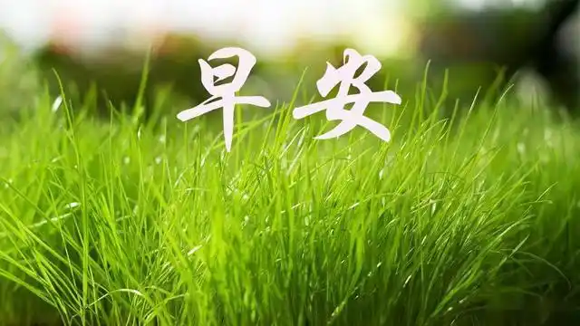 早安心语:远处是风景,近处是人生