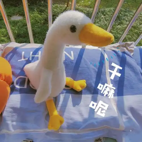 2020年12月6日 16:36   关注  表情 沙雕头像 评论 收藏