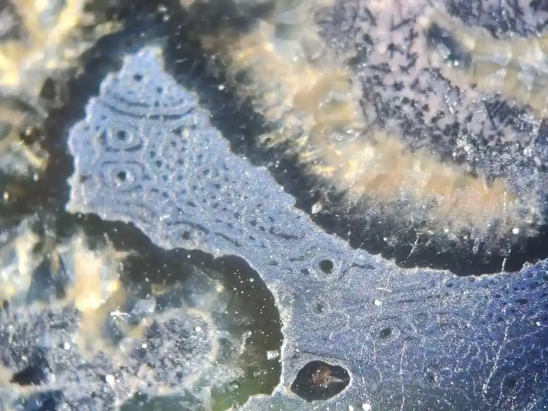 元青花的铁锈斑是因苏麻离青料的铁元素形成,经历数百年 - 抖音