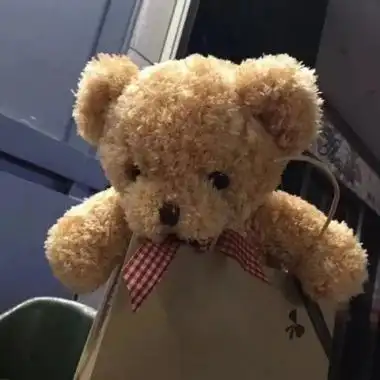 可爱熊头像高清超萌熊的可爱头像图片