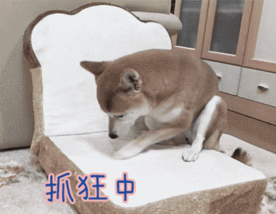 q版柴犬表情