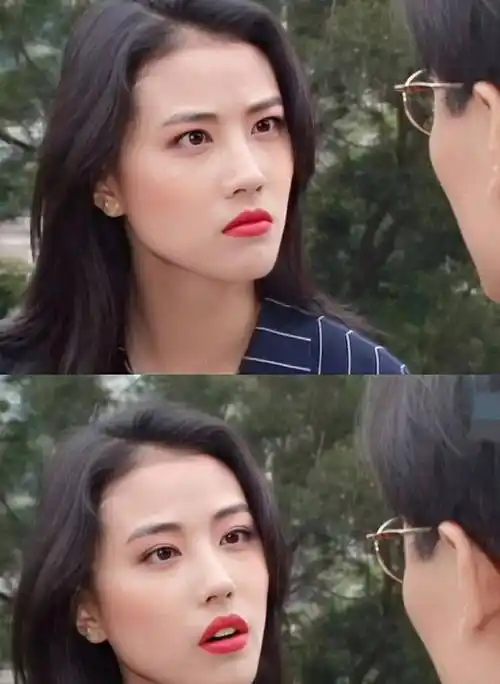 从港风美人到独立女性,周海媚学会享受岁月,肉眼可见越来越美_狗狗