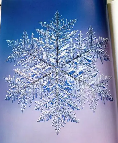 一片雪花中的科学与艺术