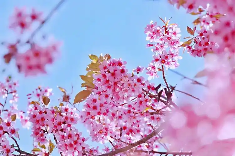 2021年最美立春祝福语,经典暖心,祝福满满