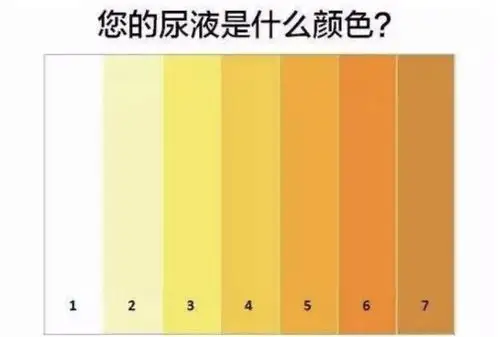 尿液颜色可以反映身体健康,你注意过你的小便颜色吗?