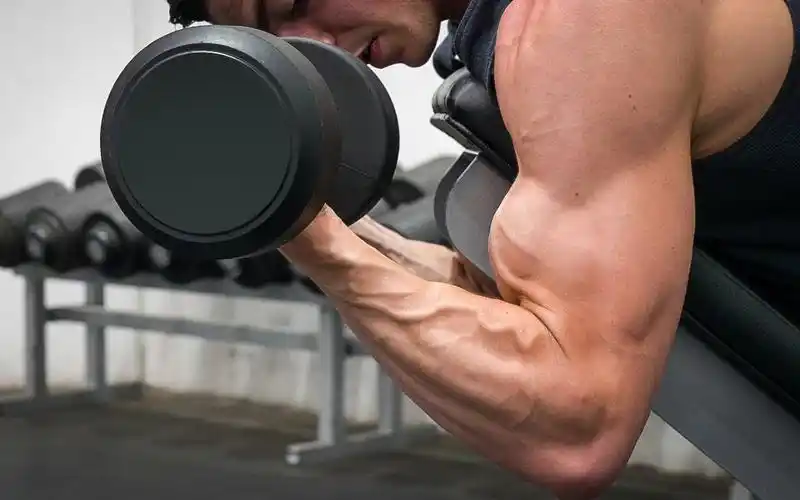 较大的肱二头肌用于健美操(使用重量!