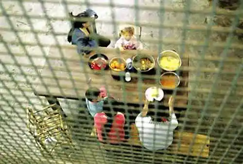 号称"罪犯天堂",外观似图书馆的奥地利莱奥本监狱2010年"监狱世界杯"