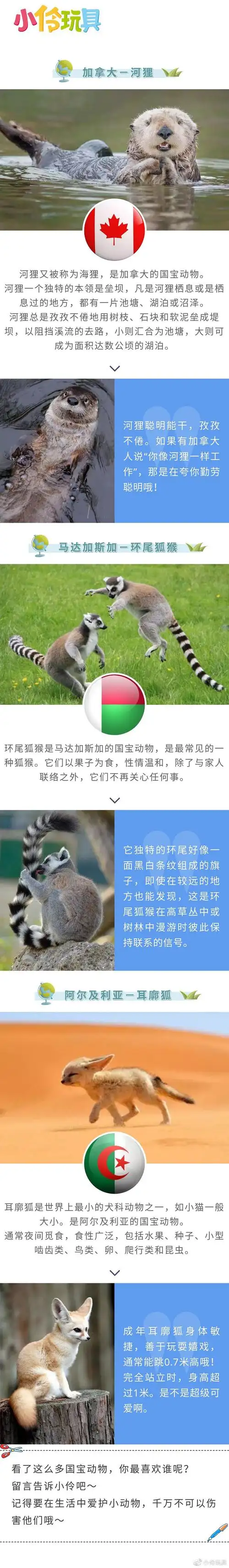 世界各国的国宝动物,你最喜欢谁?