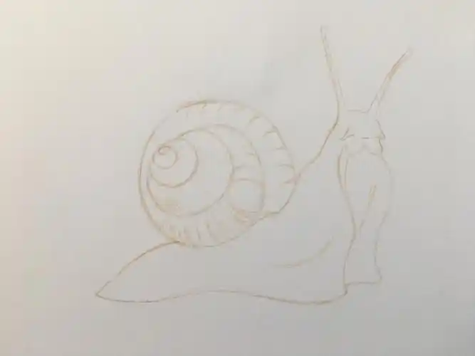 彩铅临摹蜗牛