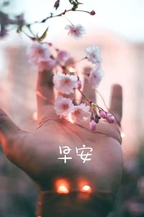 非常时期的早上好图片