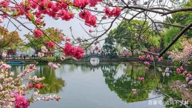 遗落的美景——无锡蠡园,山水映桃花