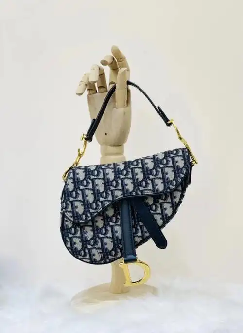 dior迪奥小号老花马鞍包78